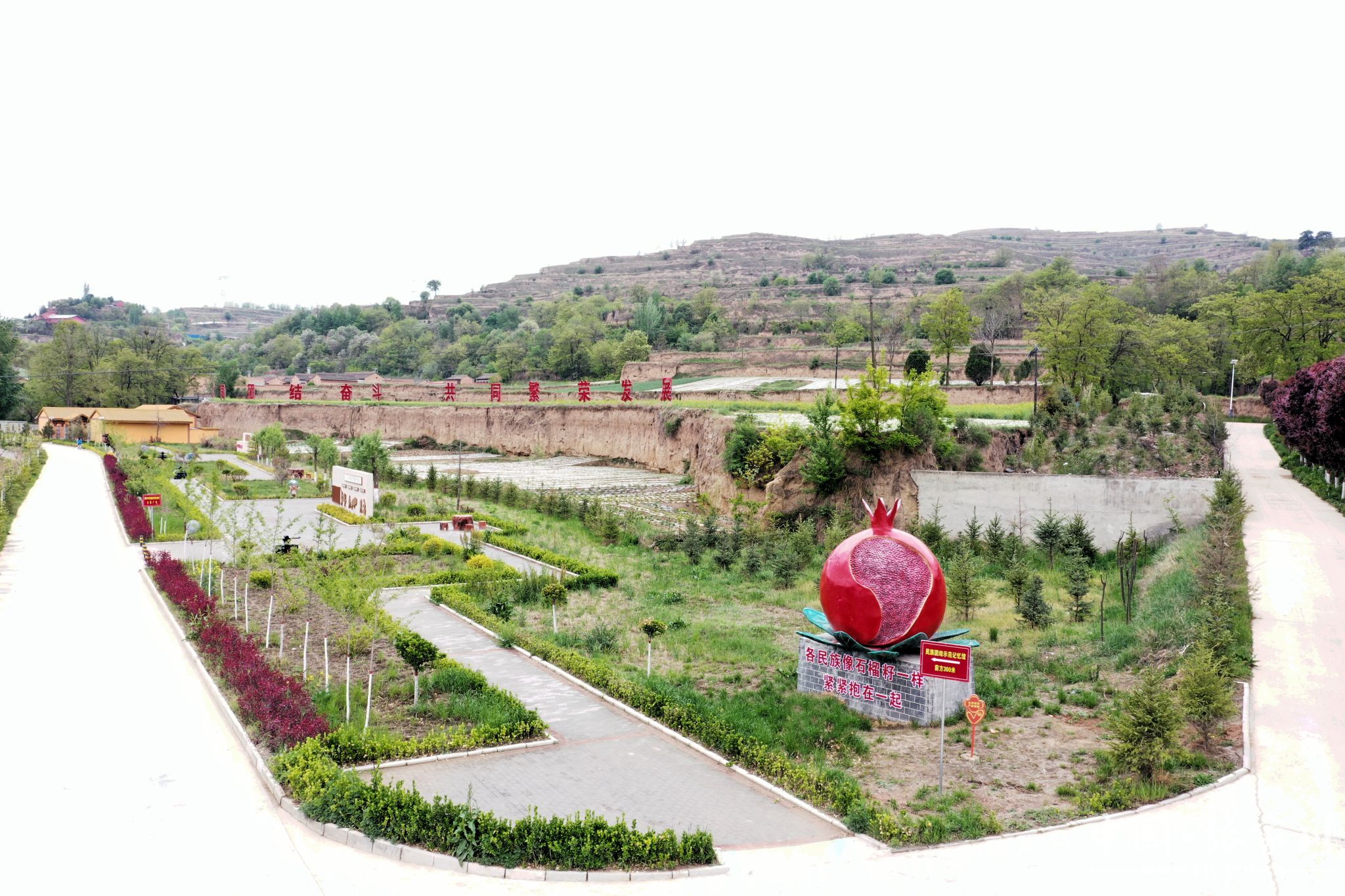 【文明新风培育】大阳镇:文明花开芳满园 和美乡风润万家