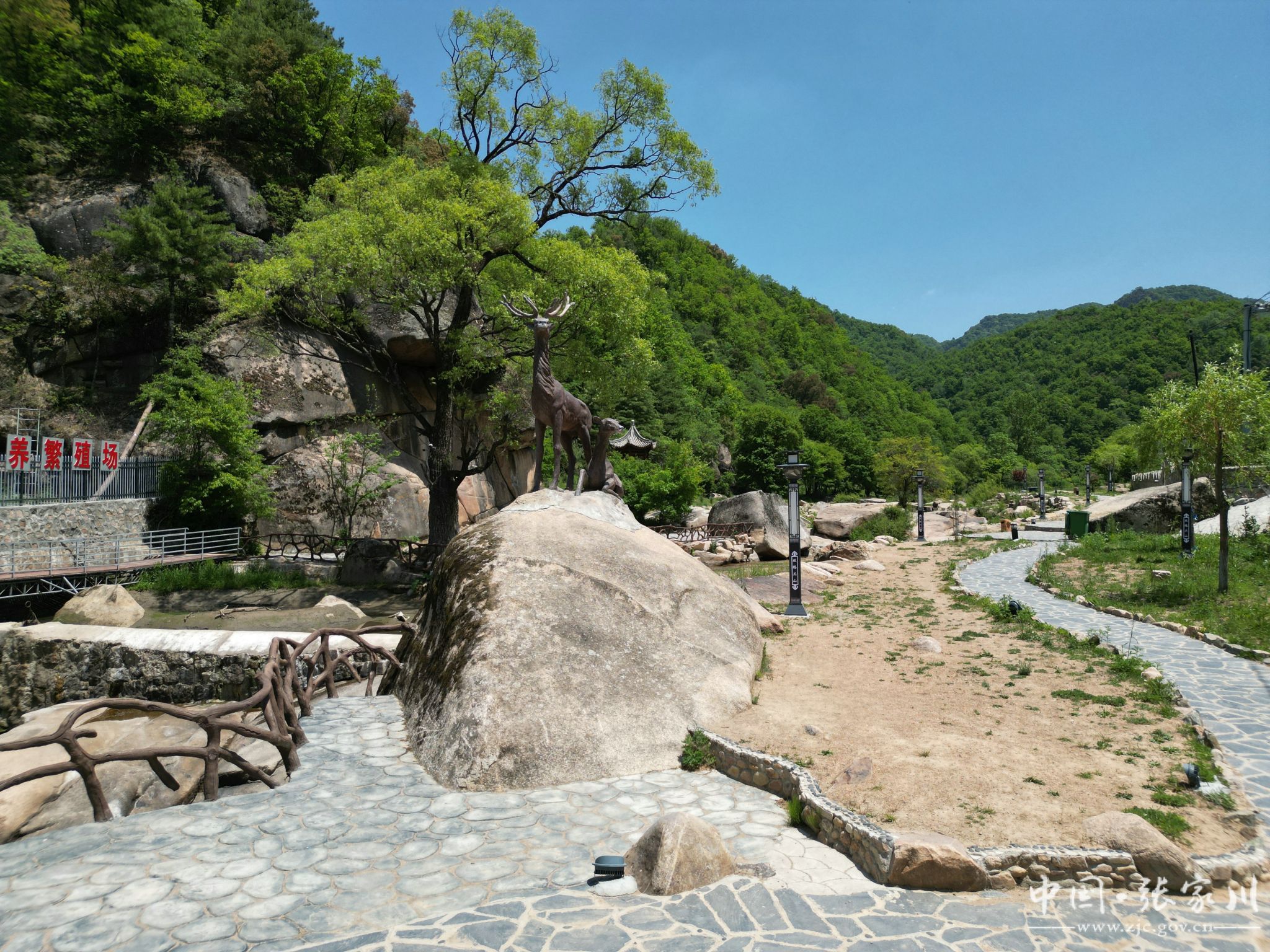 张家川县:筑丝路关山生态屏障  打造美丽宜居花园村