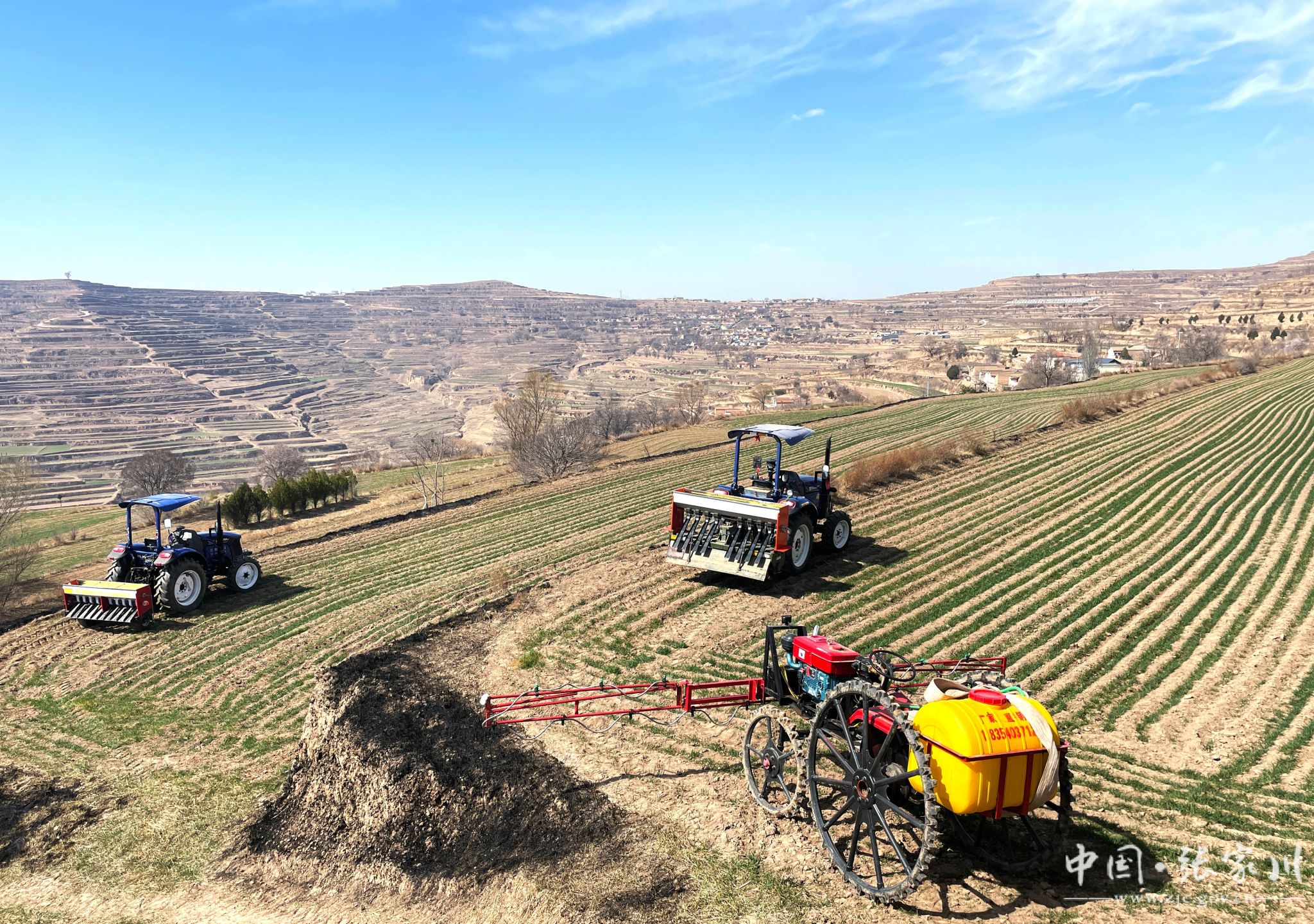 张家川县举办小麦示范基地观摩暨春季田间管理技术培训会