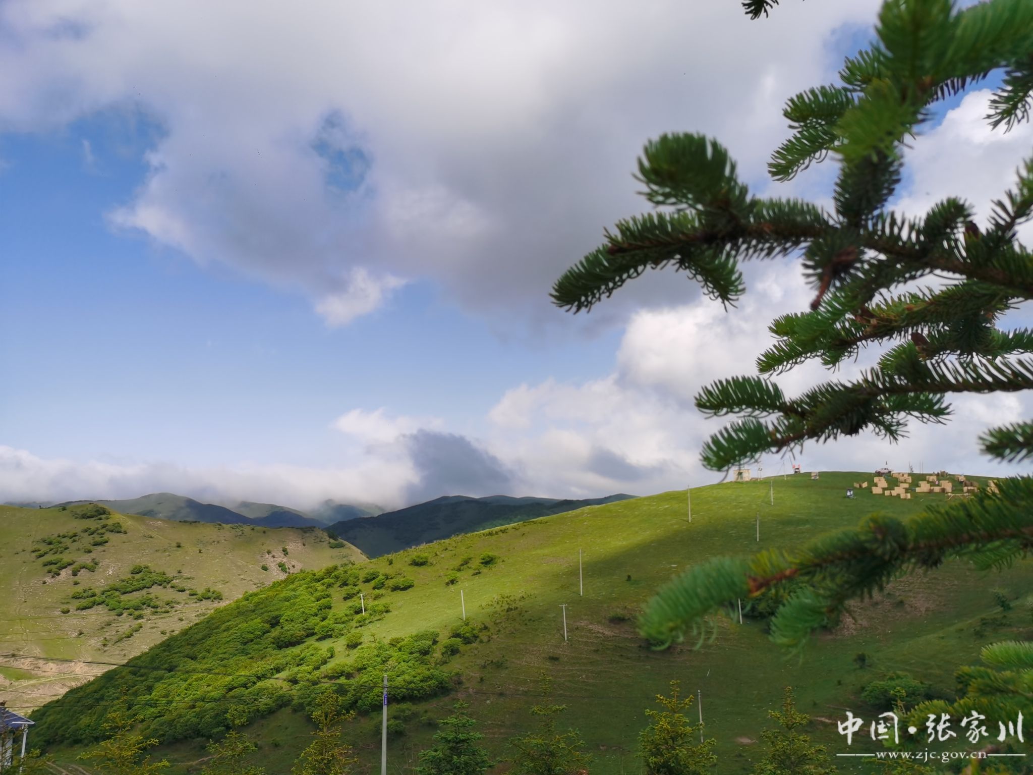 张家川县白石咀牧场:大自然镶嵌在关山深处中的一块绿宝石