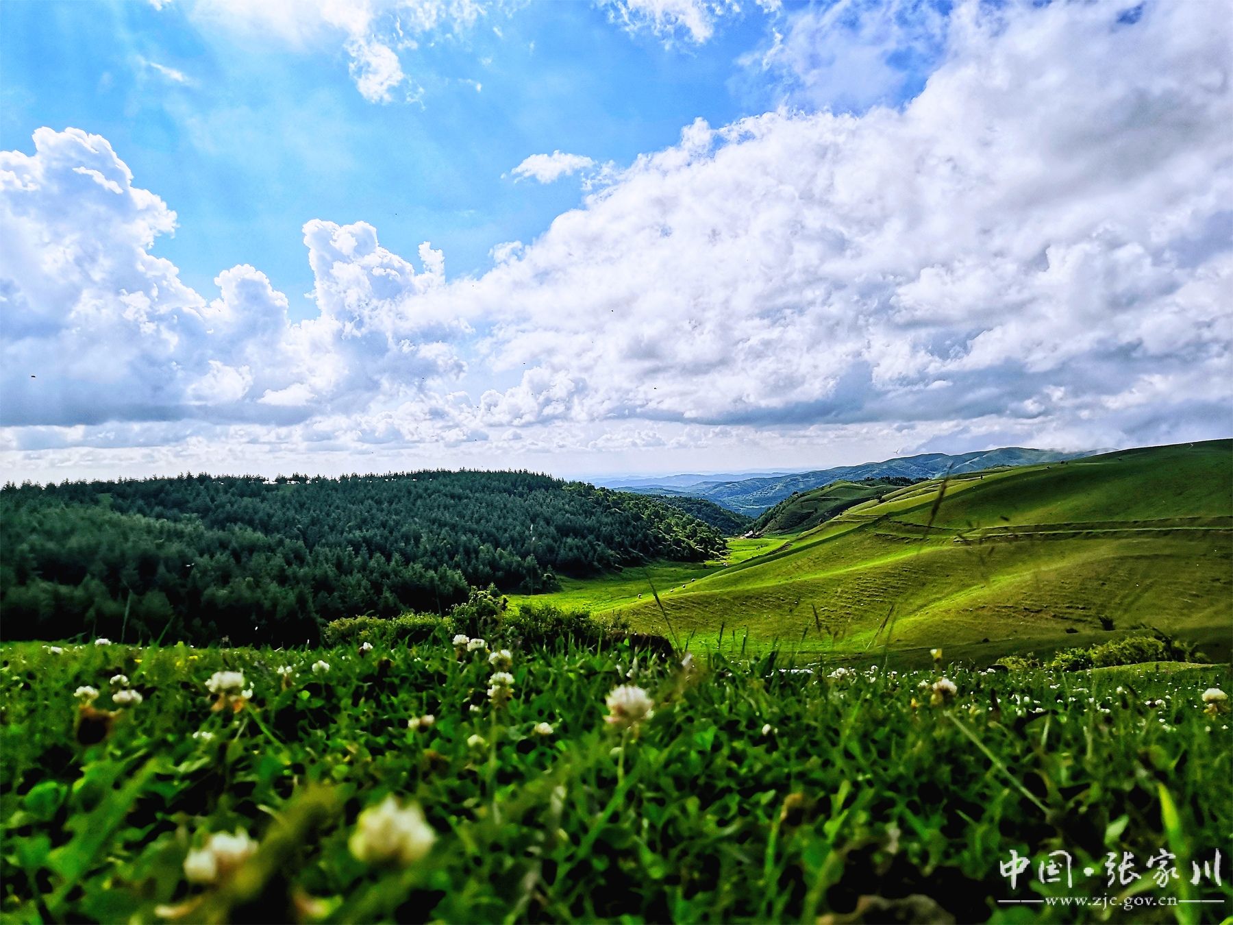 当前位置>首页>今日张家川 >正文平安草原 | 李永生关山漫雾 | 李连喜