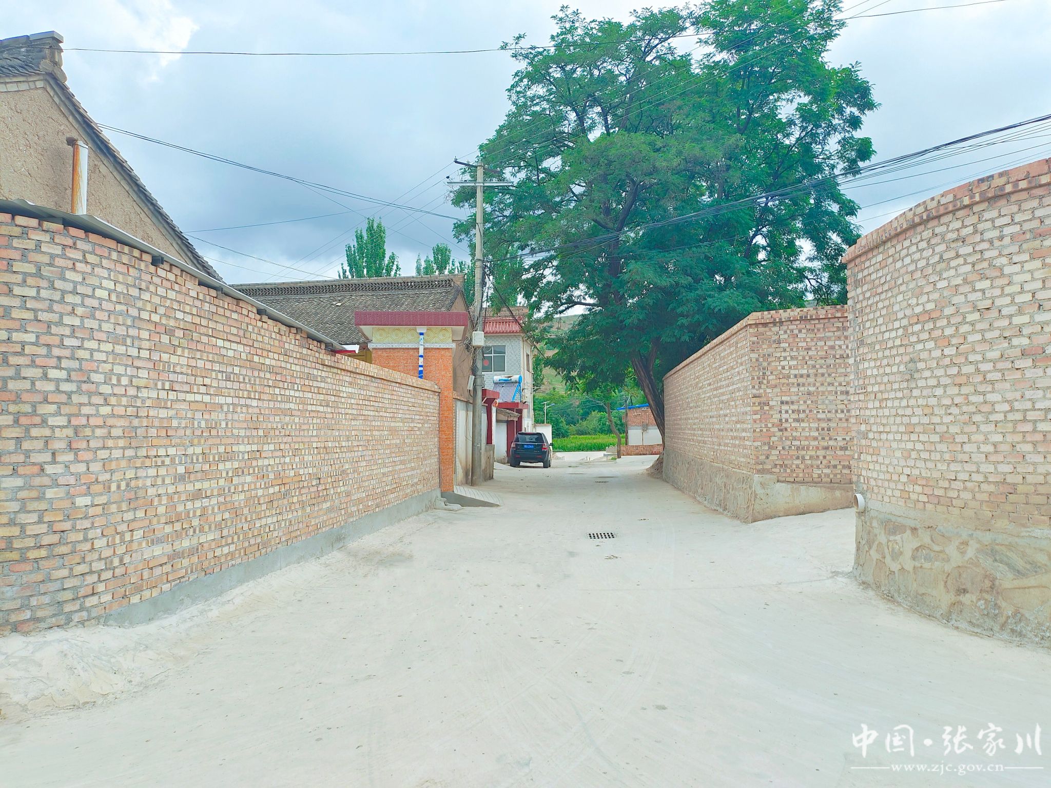 龙山镇:实施乡村建设  共建美丽村庄