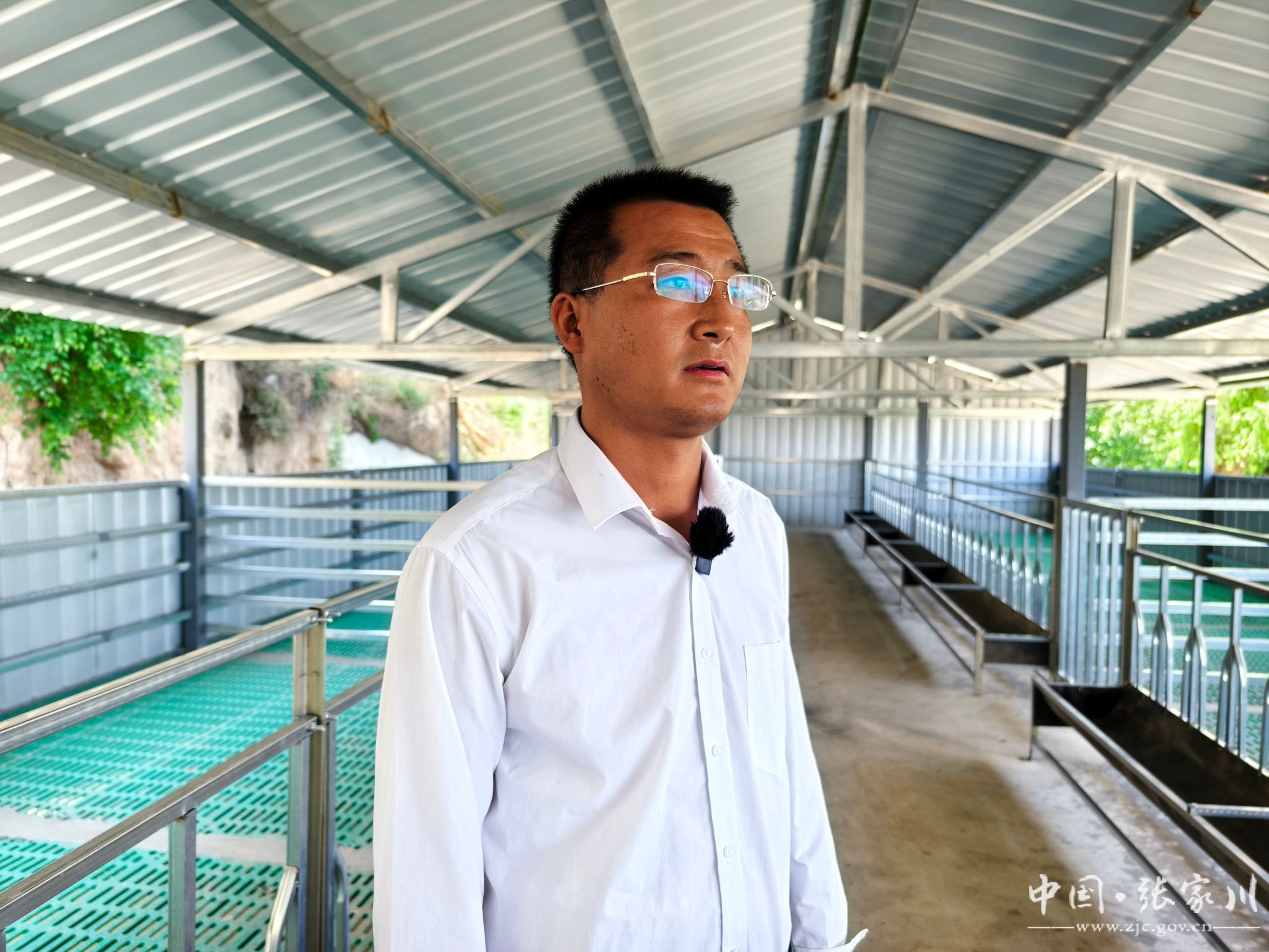 哈沟村走上致富"羊"光大道-张家川回族自治县人民政府