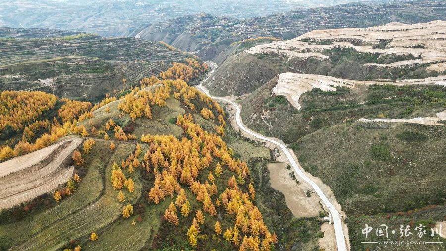 43公里产业路暖民心-张家川回族自治县人民政府