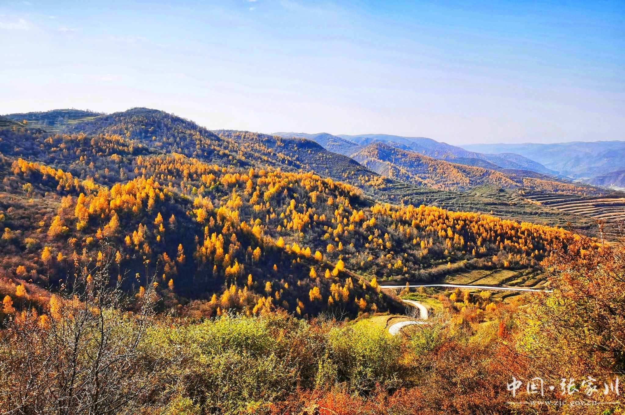 天水的麻辣烫天水的张家川