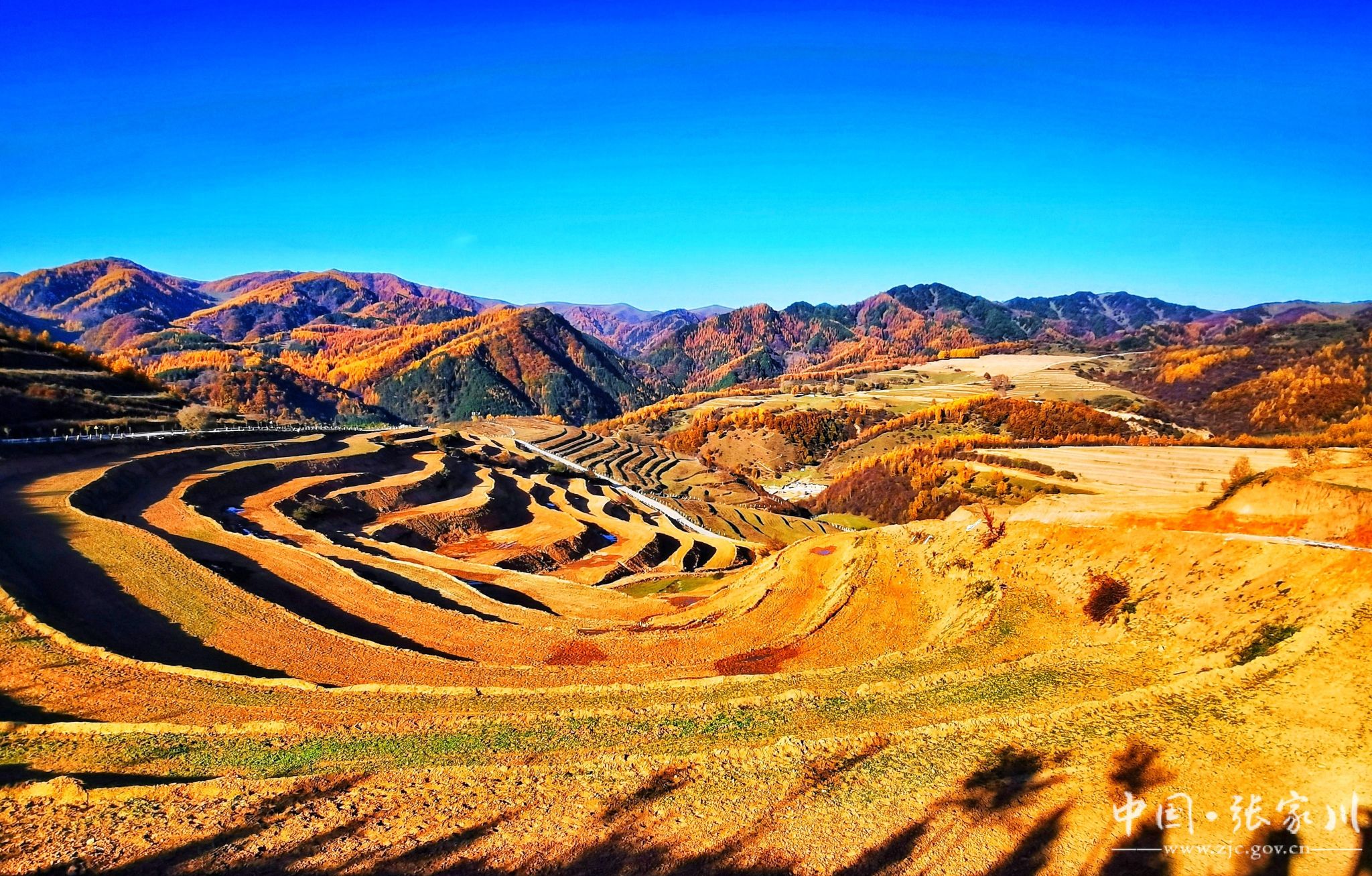 张家川县作为秦文化的重要发祥地和丝绸之路"关陇古道"必经之地,境内