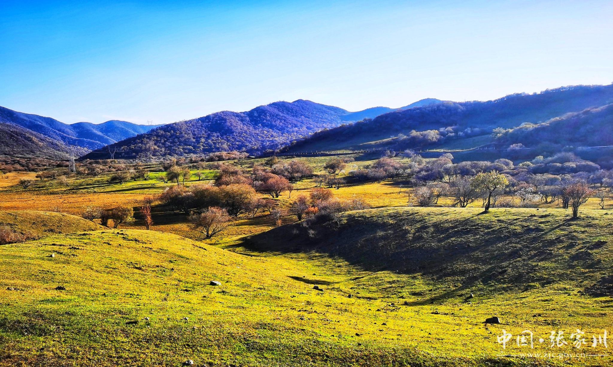 大美张家川摄影展入展作品九