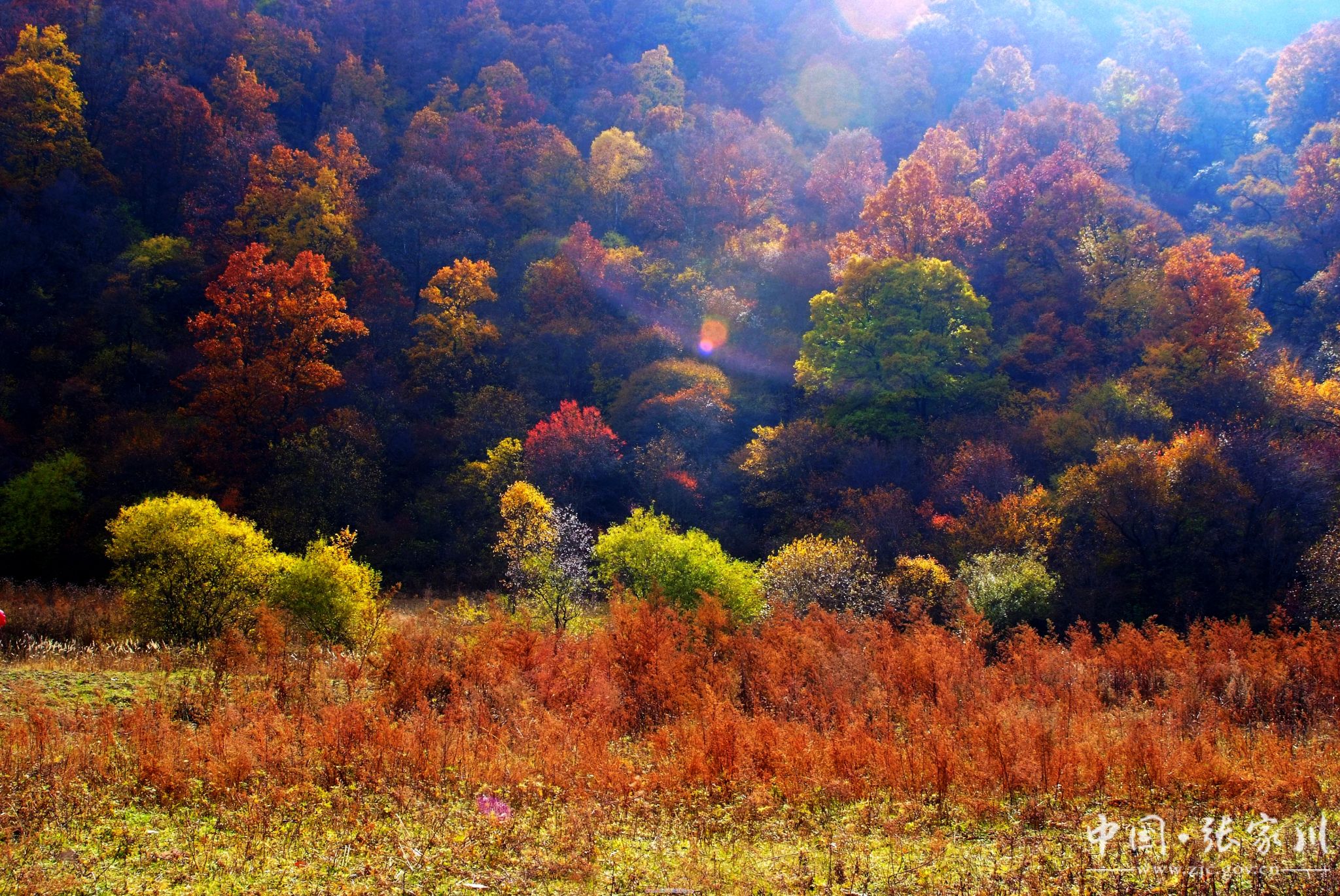 >首页>今日张家川 >正文秋染关山 | 丁天平关山漫雾 | 李连喜平安草原