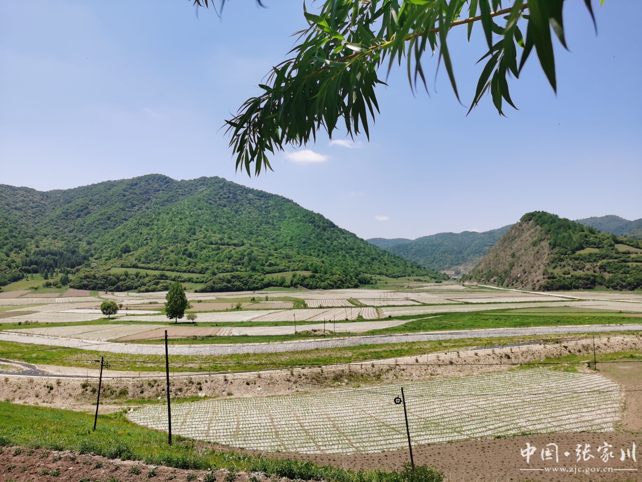 张家川县:筑丝路关山生态屏障  打造美丽宜居花园村
