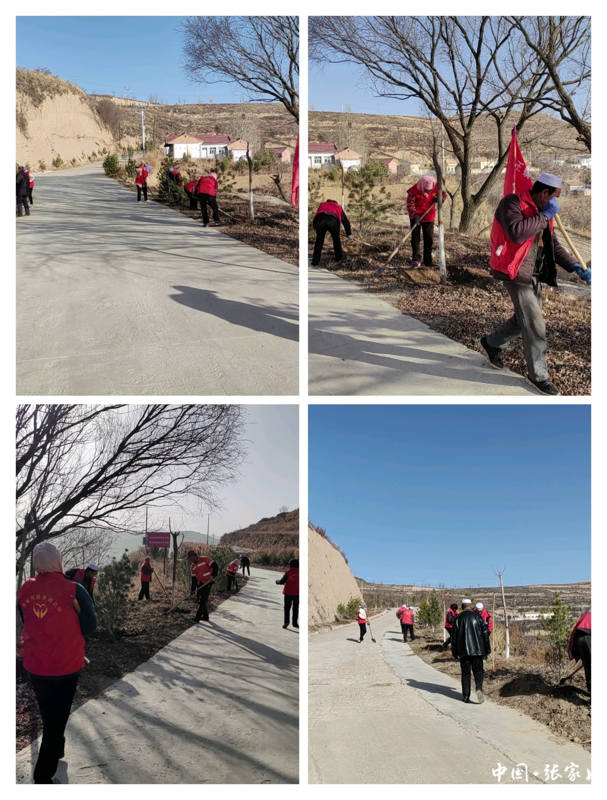 川王镇志愿红呵护生态绿打造和美乡村新颜值