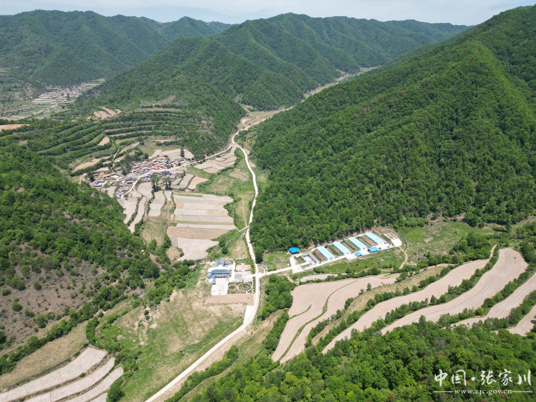 张家川县:筑丝路关山生态屏障  打造美丽宜居花园村