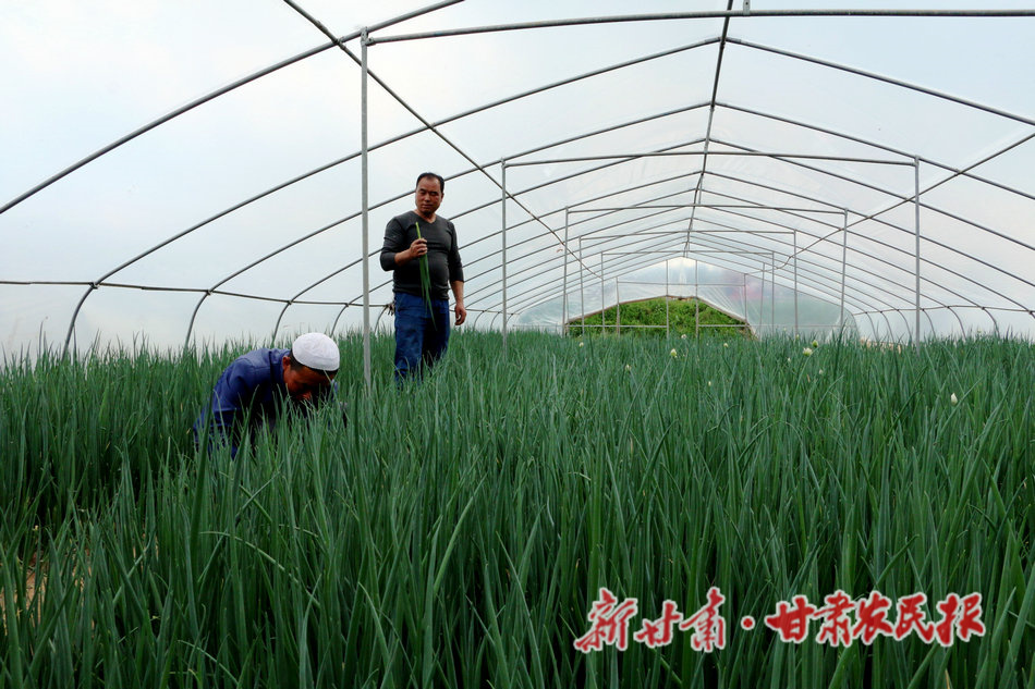 微信图片_20210601093621