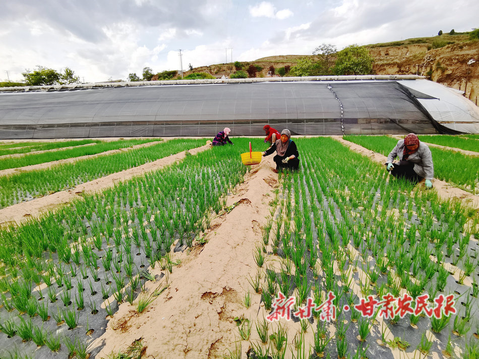 微信图片_20210601093617