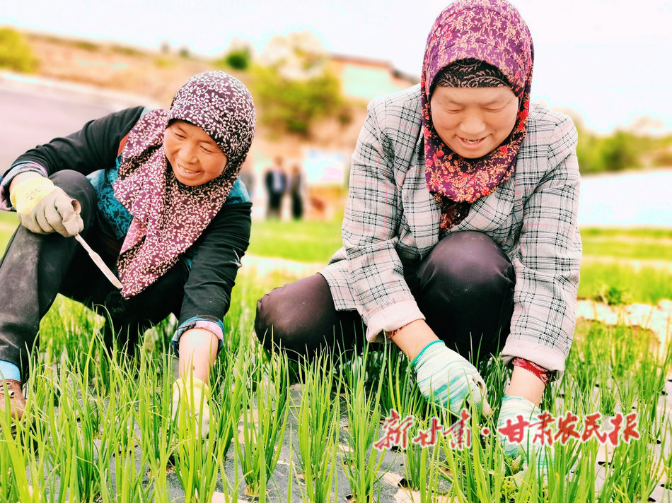 微信图片_20210601093605