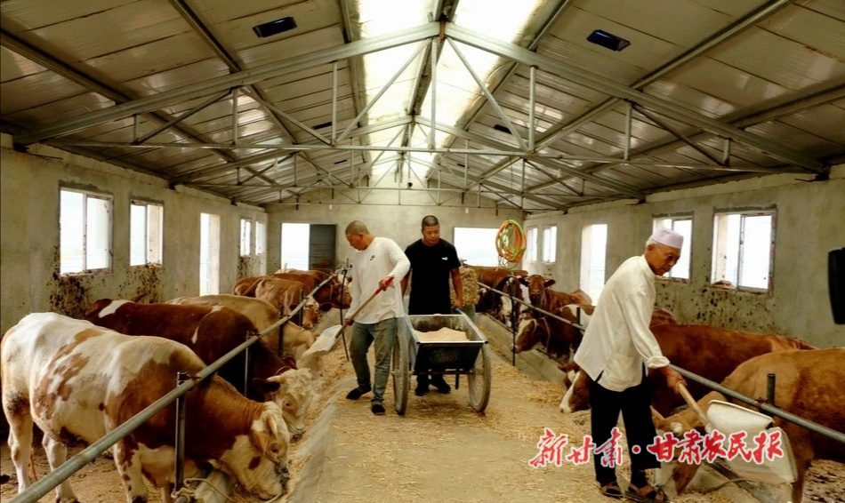 微信图片_20210816200228