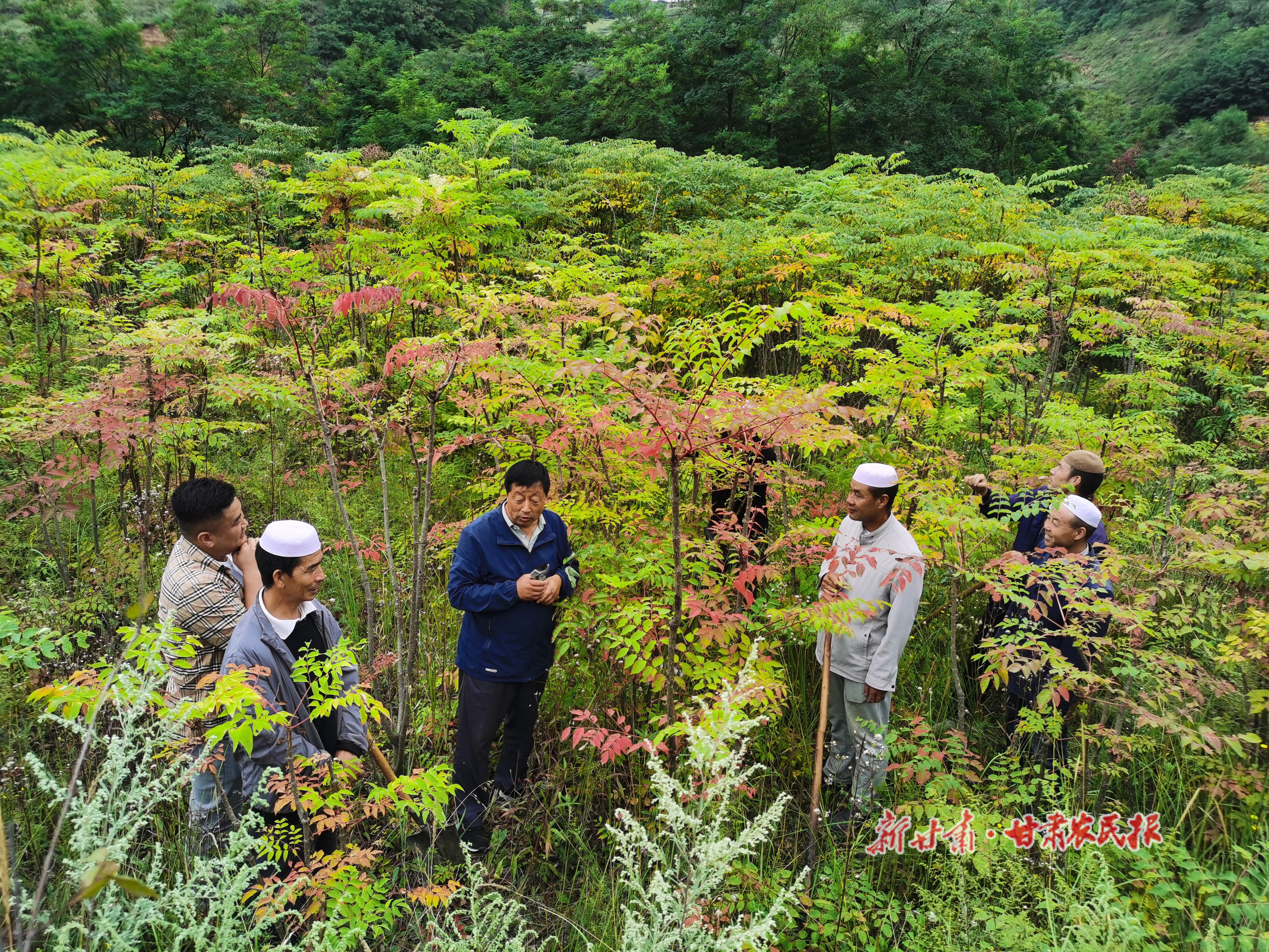 微信图片_20210907131045