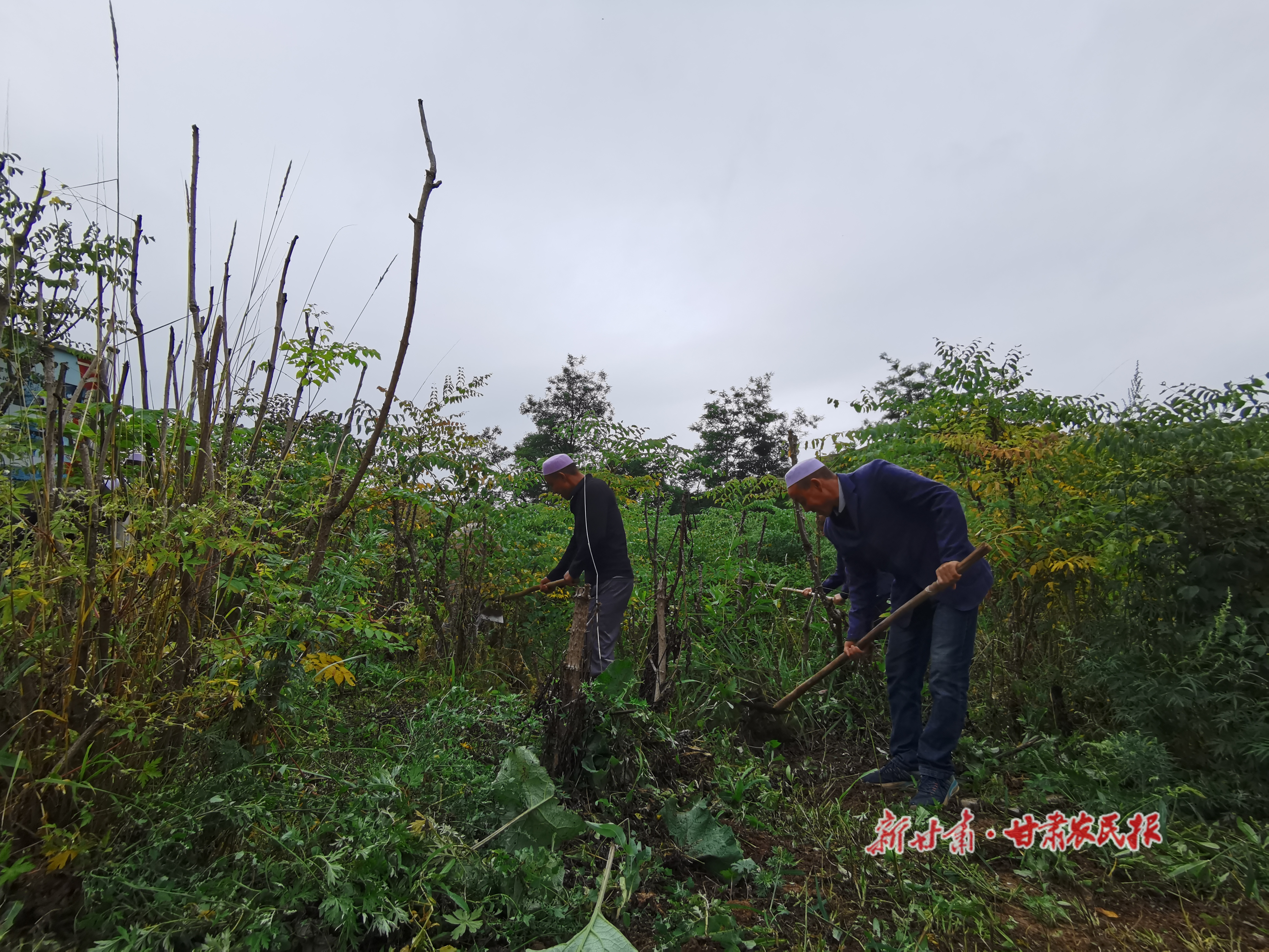 微信图片_20210907131102