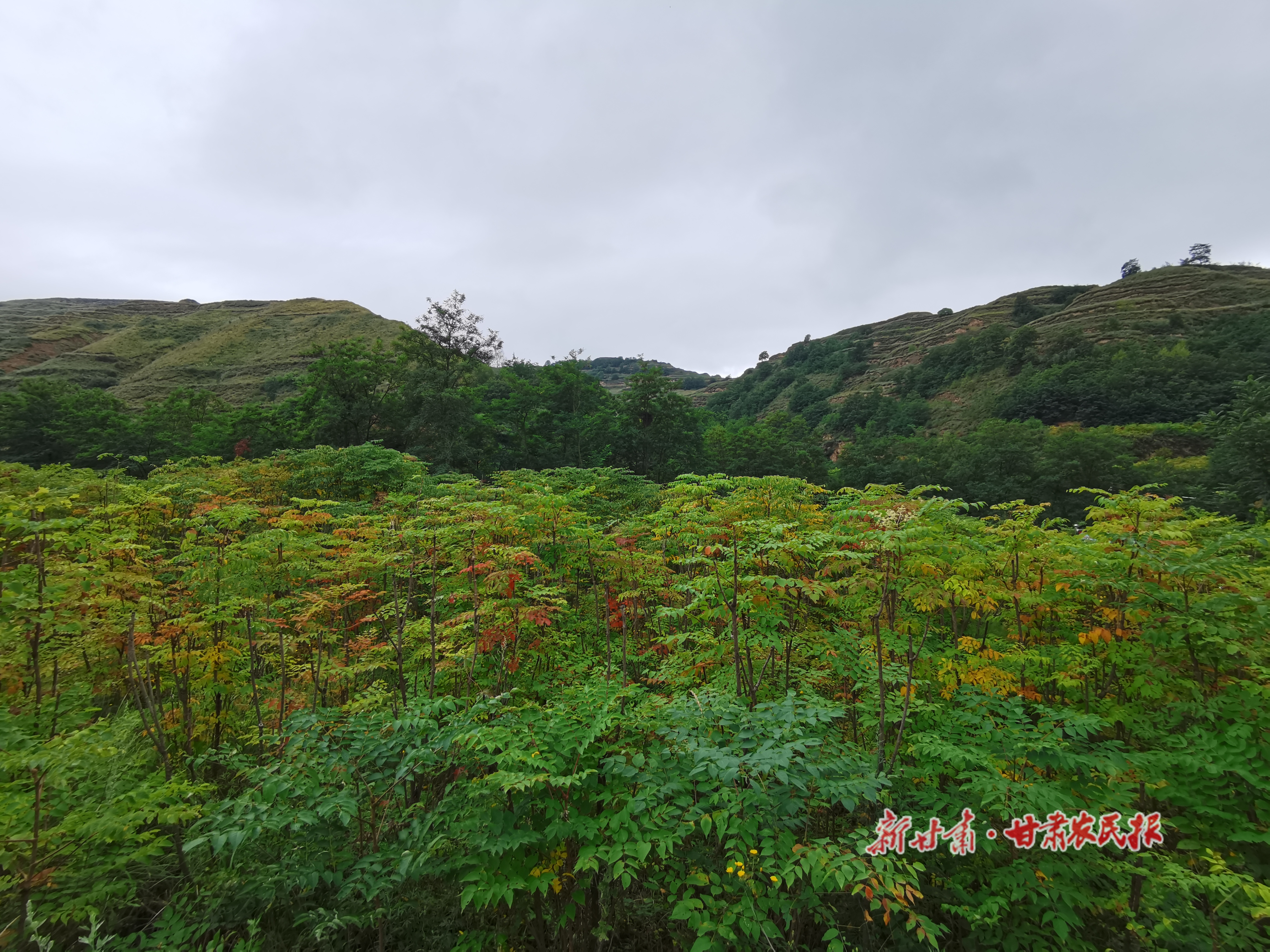 微信图片_20210907131055