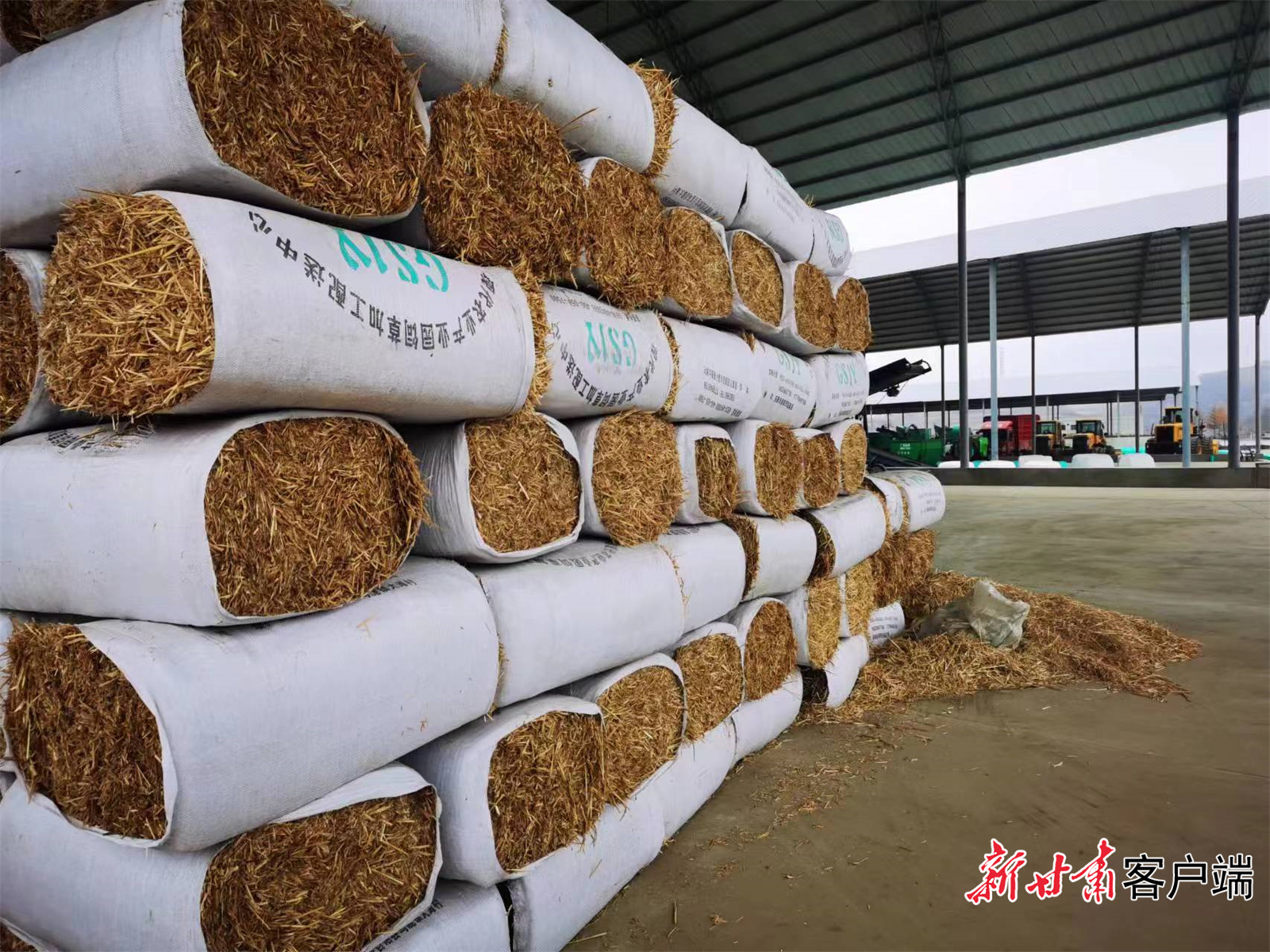 FZ007217883760_A3544195