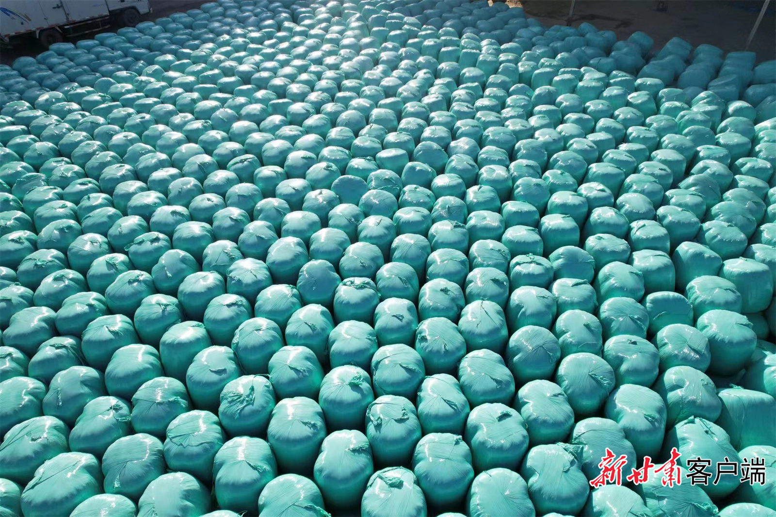 FZ007217883760_A3544193