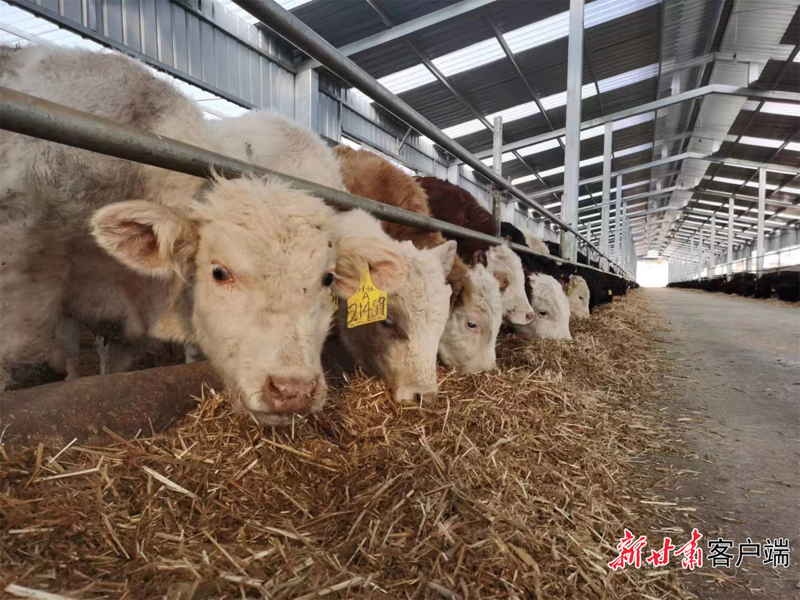 FZ007217883760_A3544194