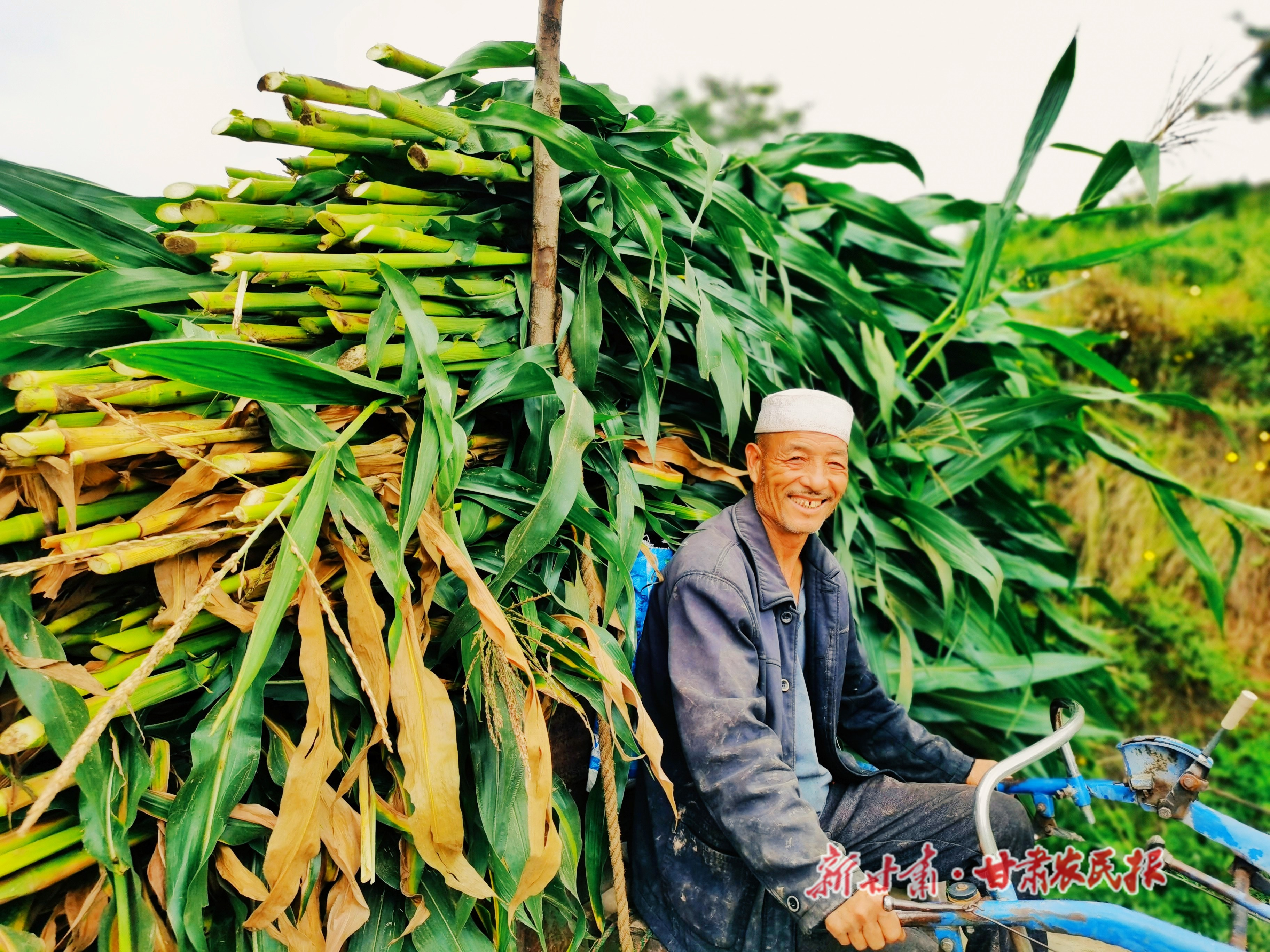 微信图片_20210819230639