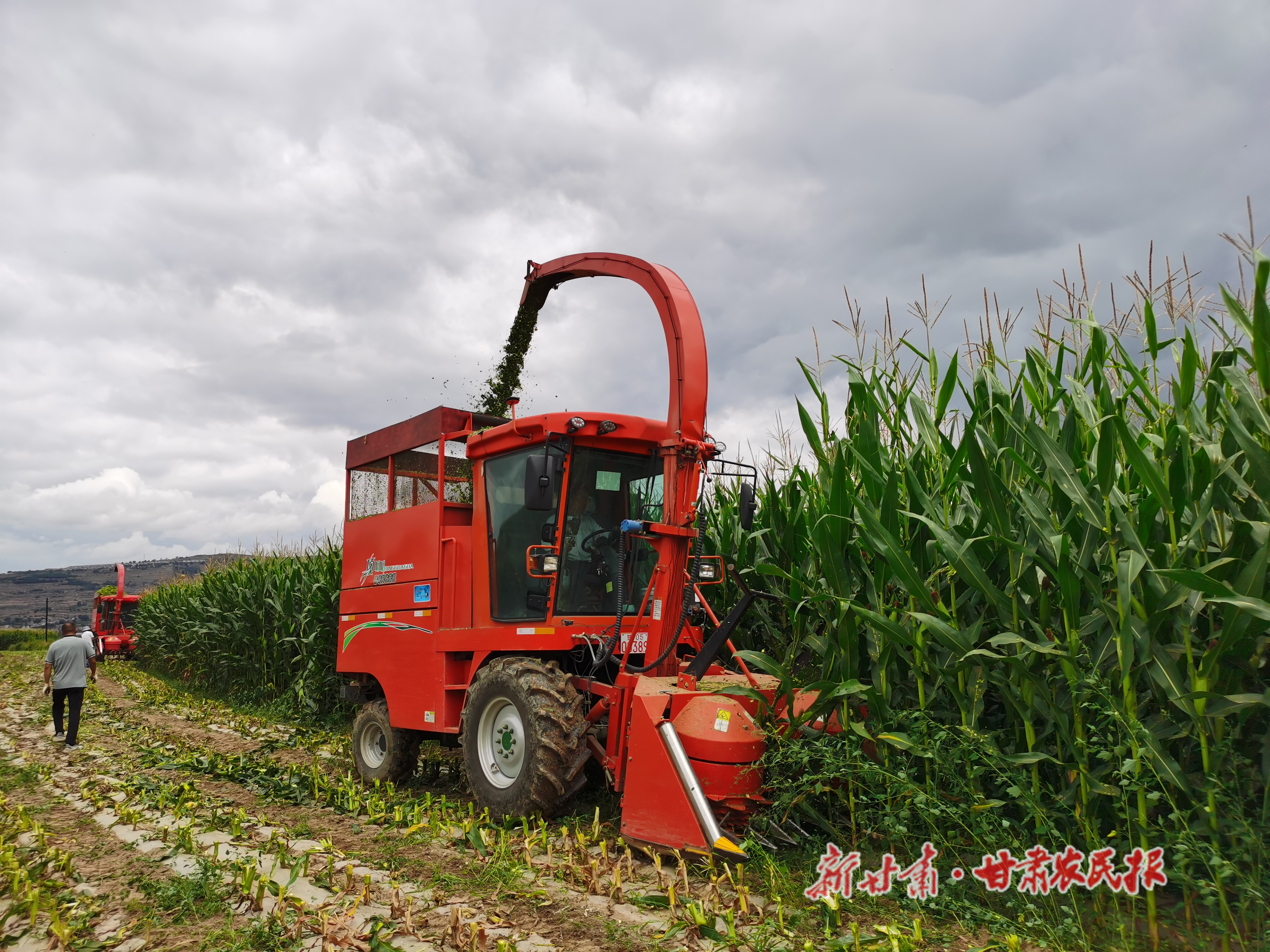 微信图片_20210819230713