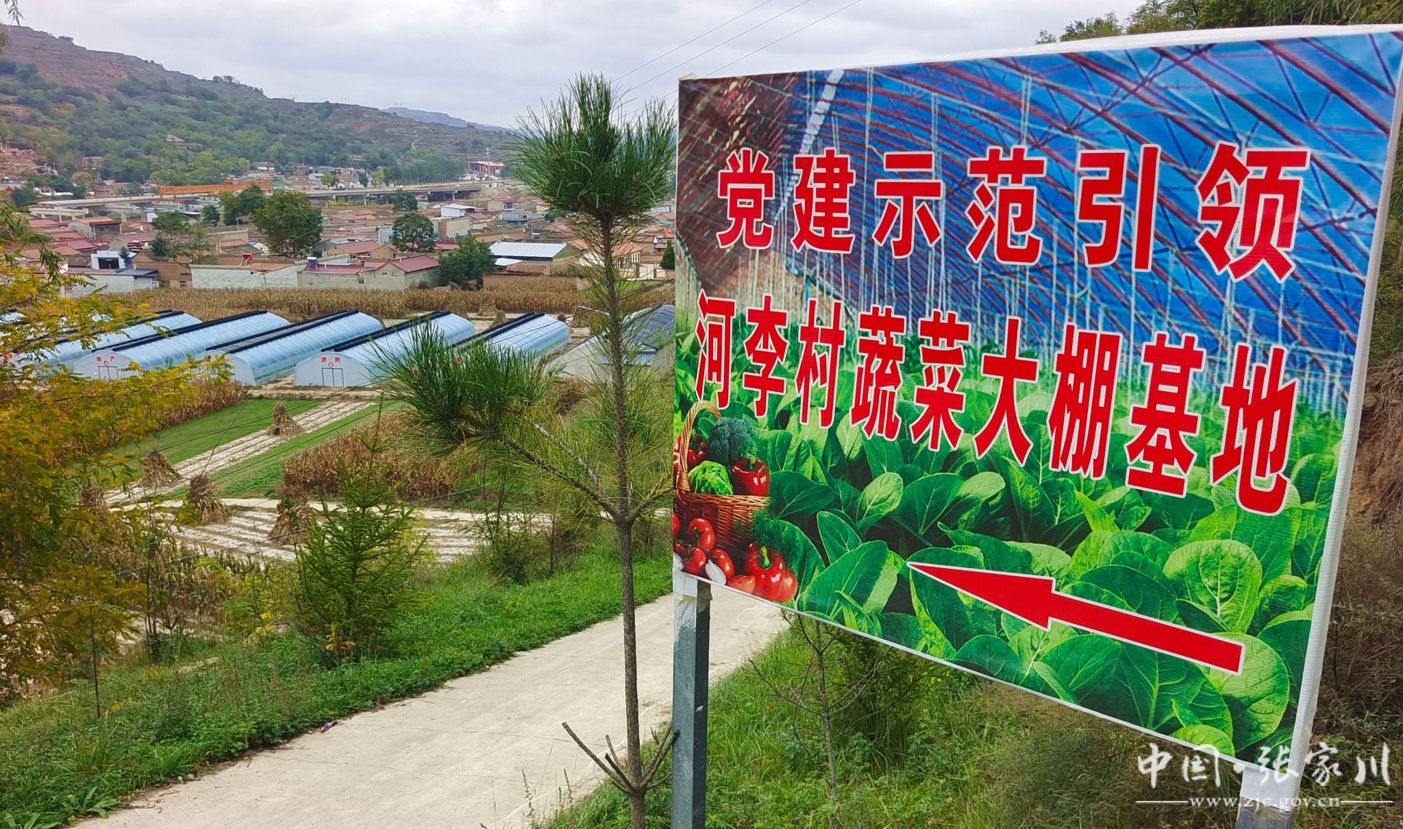 1697765254412099874.jpg 34e11ea8b616bde4f49fa97ef85e72a0_F25727081CABB31DFF1A7DFCF75_08E73386_9D187.jpg