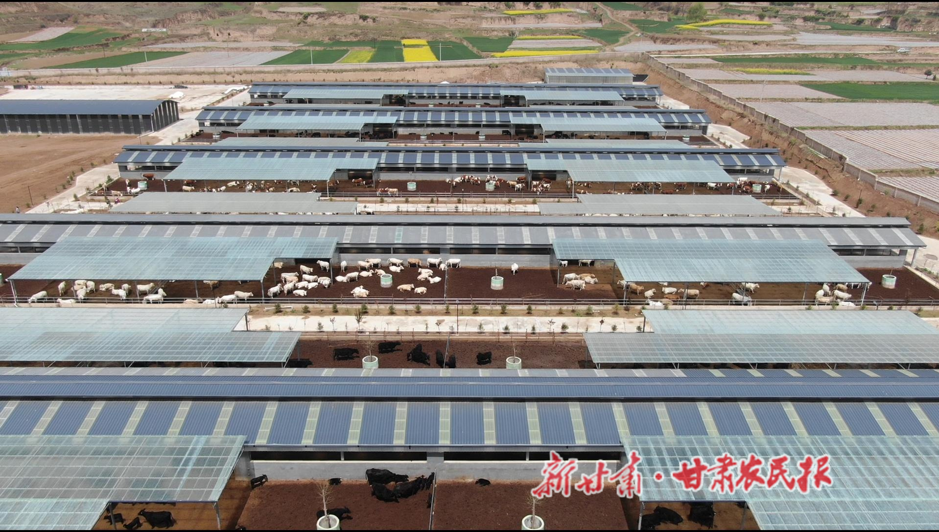 微信图片_20221104113011