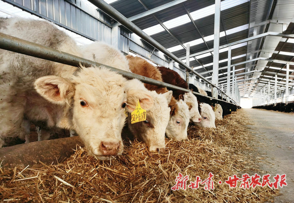 微信图片_20221213122700