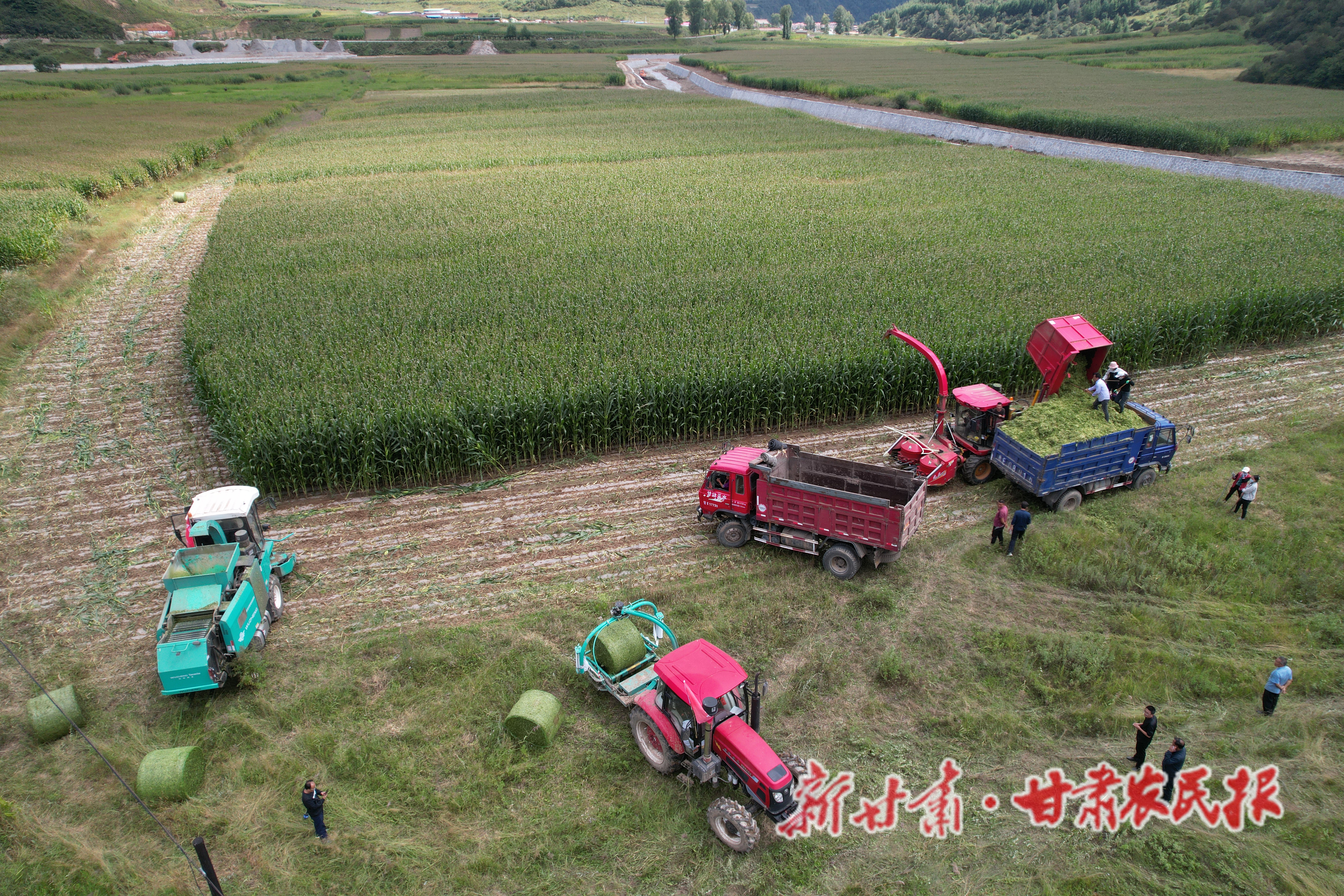 微信图片_20221104113034