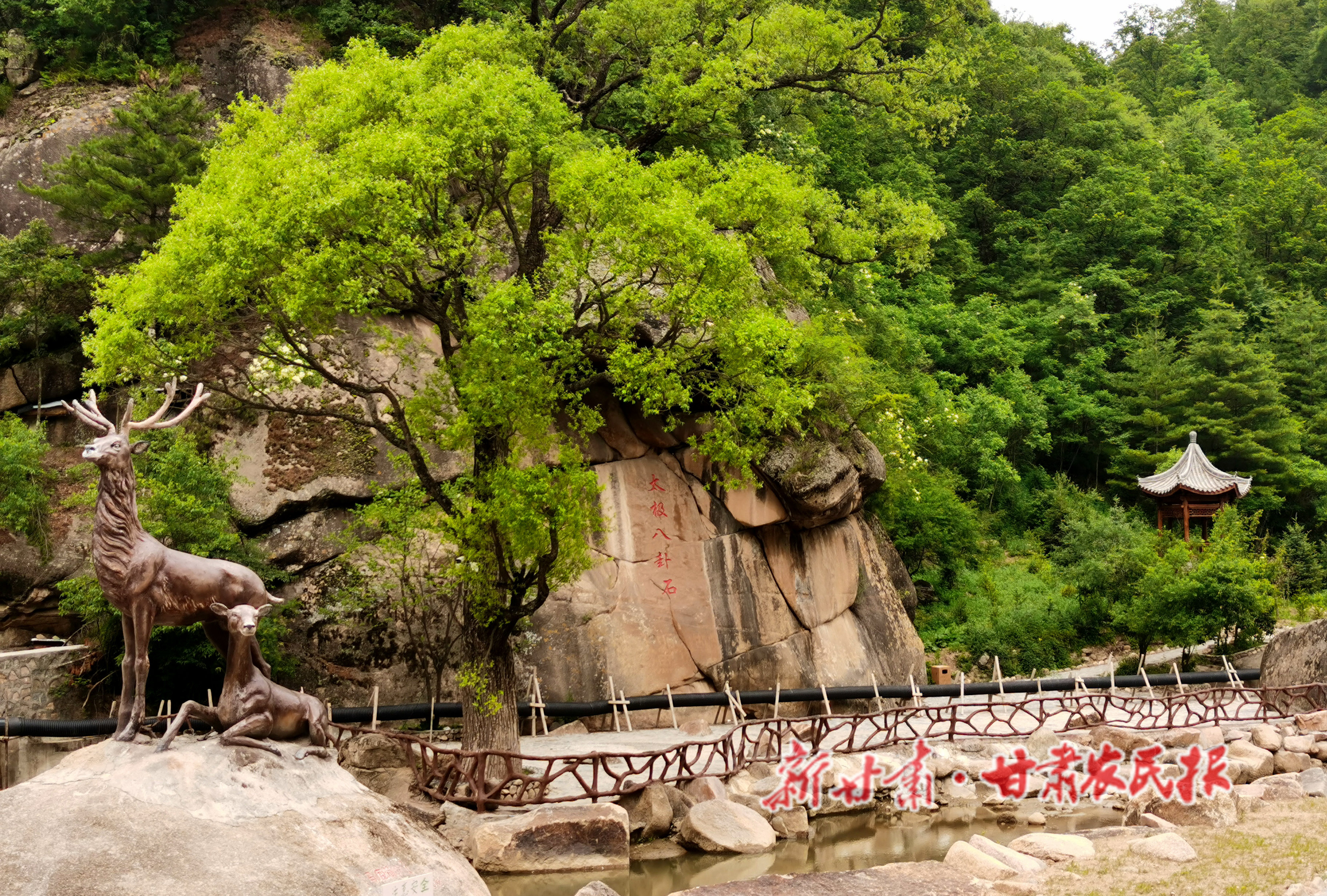 微信图片_20220628083348