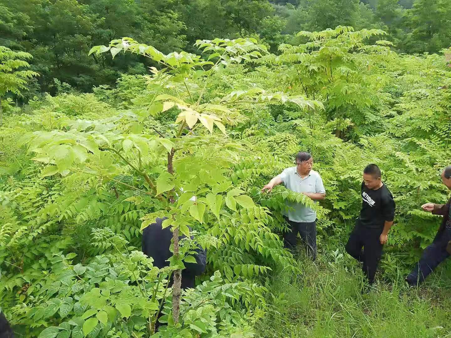 (15564622)-20220815085408