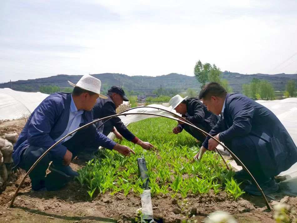 1684288750819077.jpeg?x-oss-process=style/w10 WechatIMG1604.jpeg?x-oss-process=style/w10