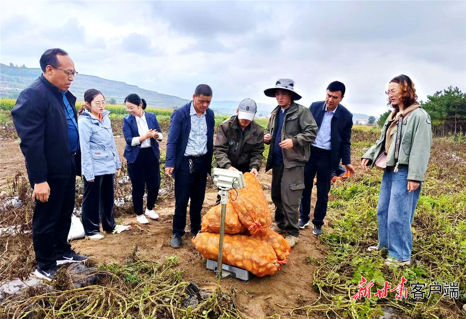 FZ007232584727_A4533318