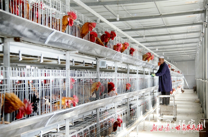 1600137262659086804.jpg 1600137262659086804.jpg