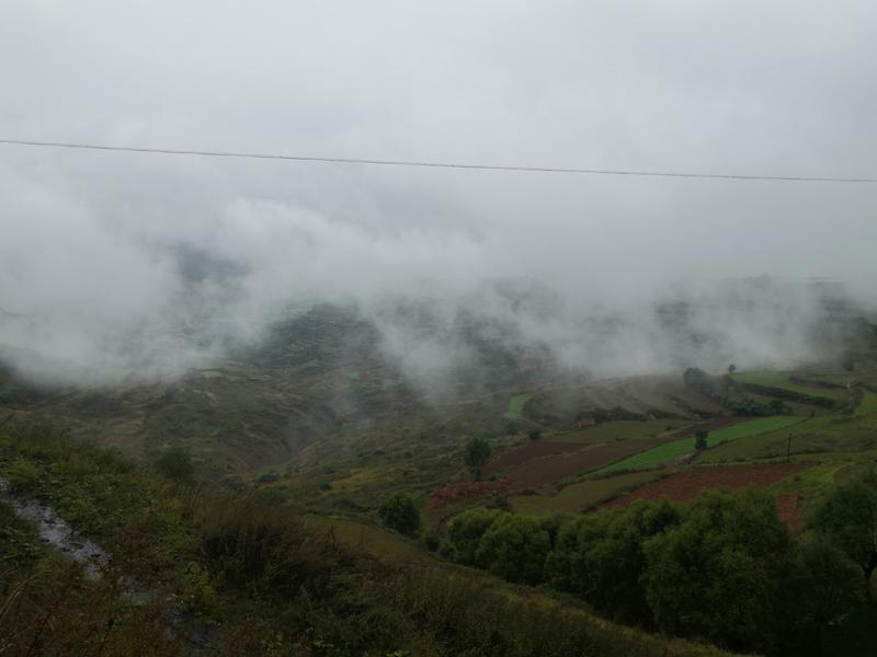 binary_middle (1).jpg binary_middle (1).jpg