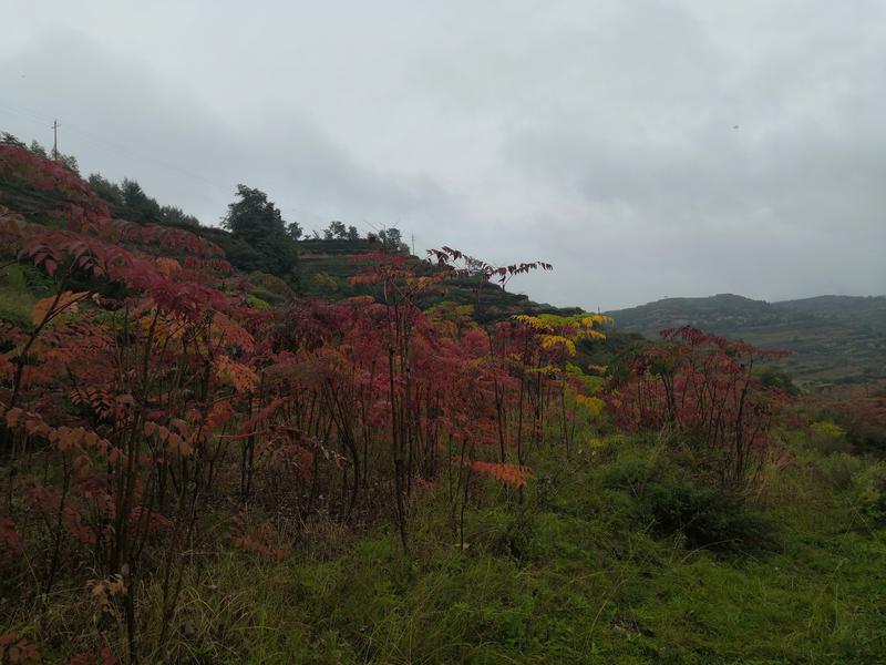 binary_middle (5).jpg binary_middle (5).jpg