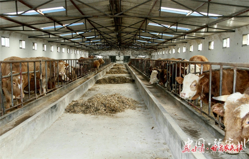 1600137230242081893.jpg 1600137230242081893.jpg