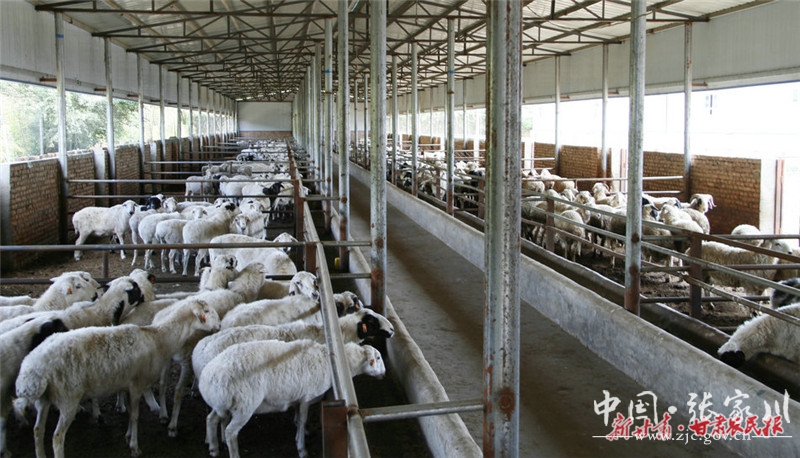 1600137246096015066.jpg 1600137246096015066.jpg