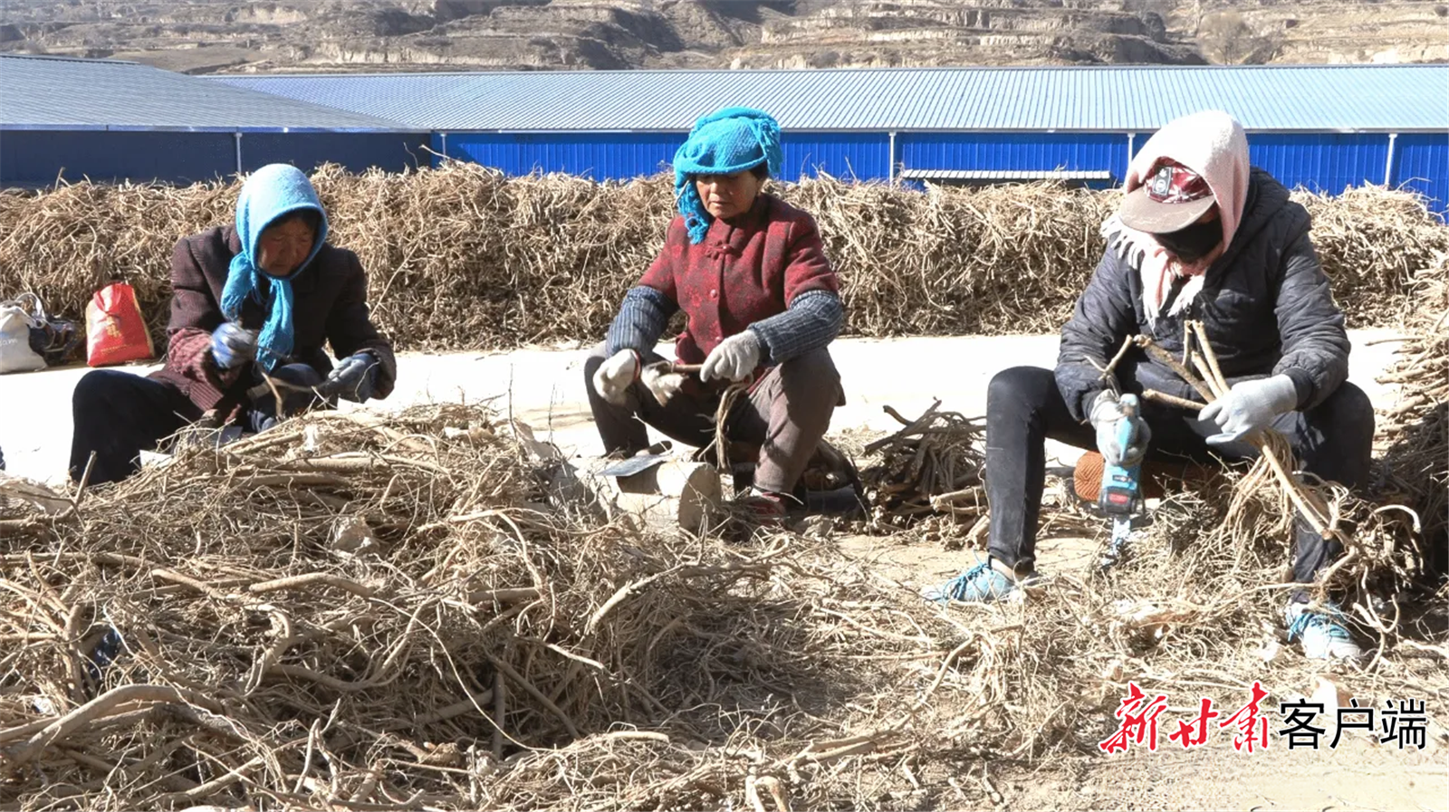 FZ007228354044_A4238105