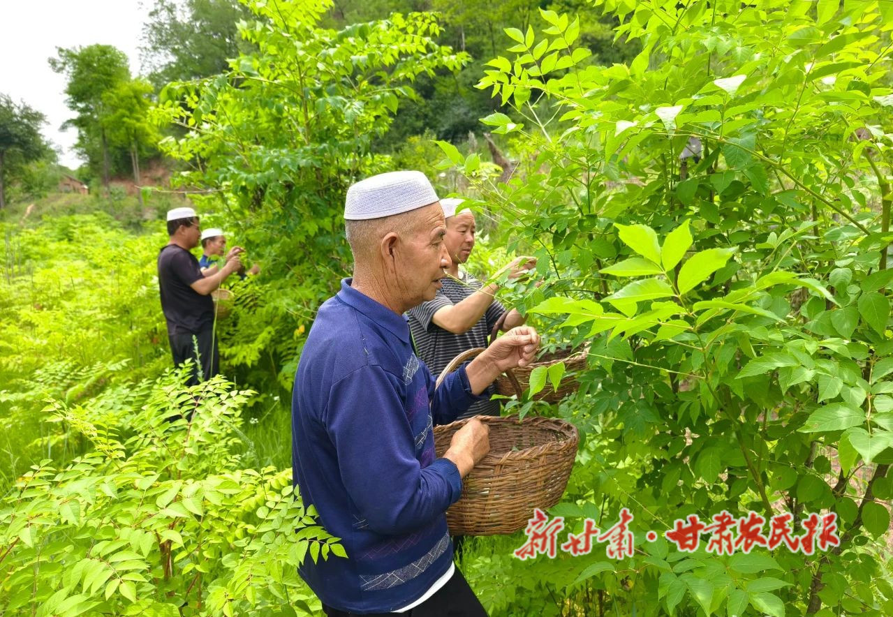 微信图片_20241128200304