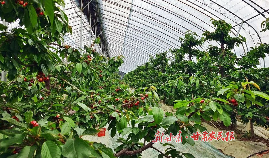 微信图片_20220401203904