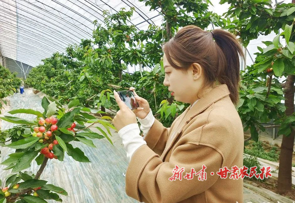 微信图片_20220401203911