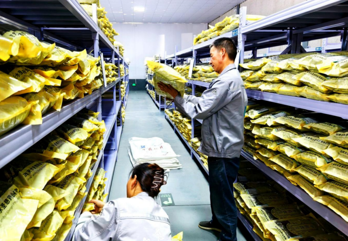 1768291189250390.png 11.png