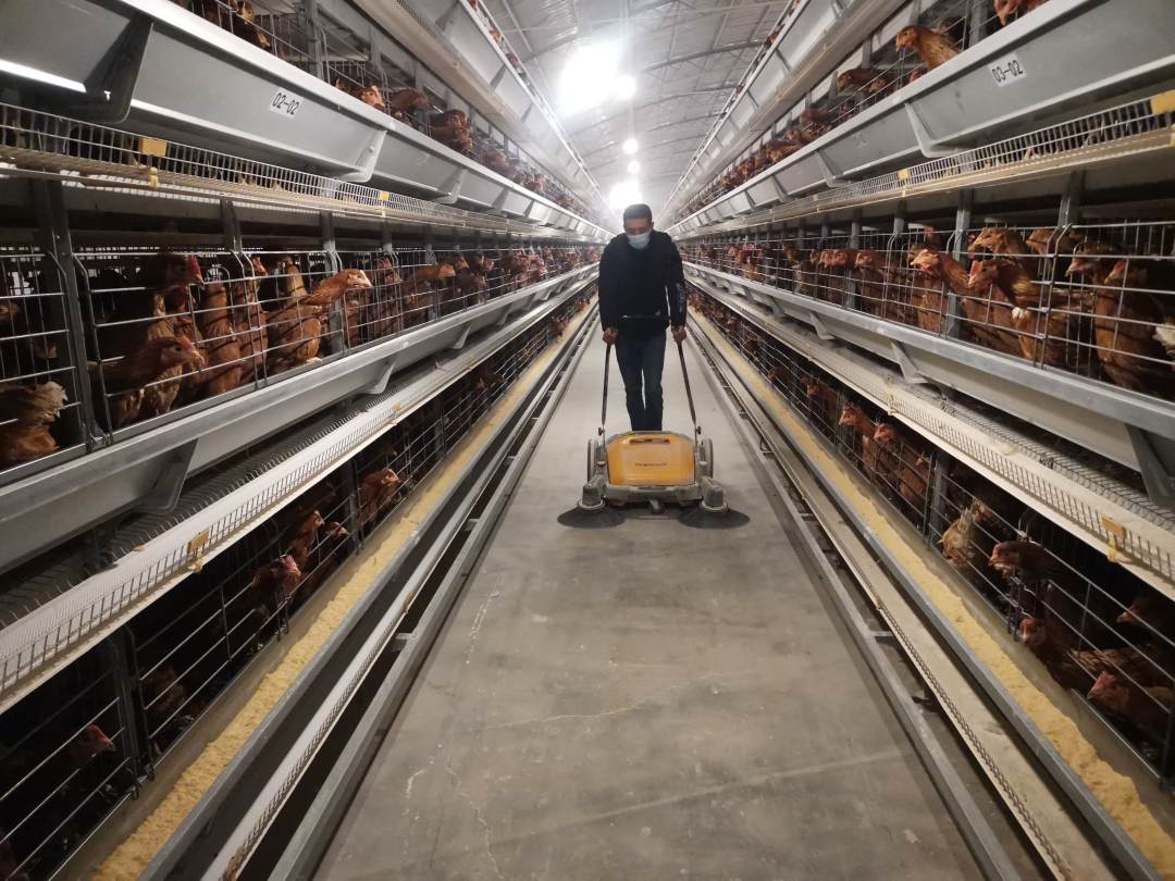 1701142999567957.jpg?x-oss-process=style/w10 a9c62fed14a094e23d5ac36d4327228.jpg?x-oss-process=style/w10