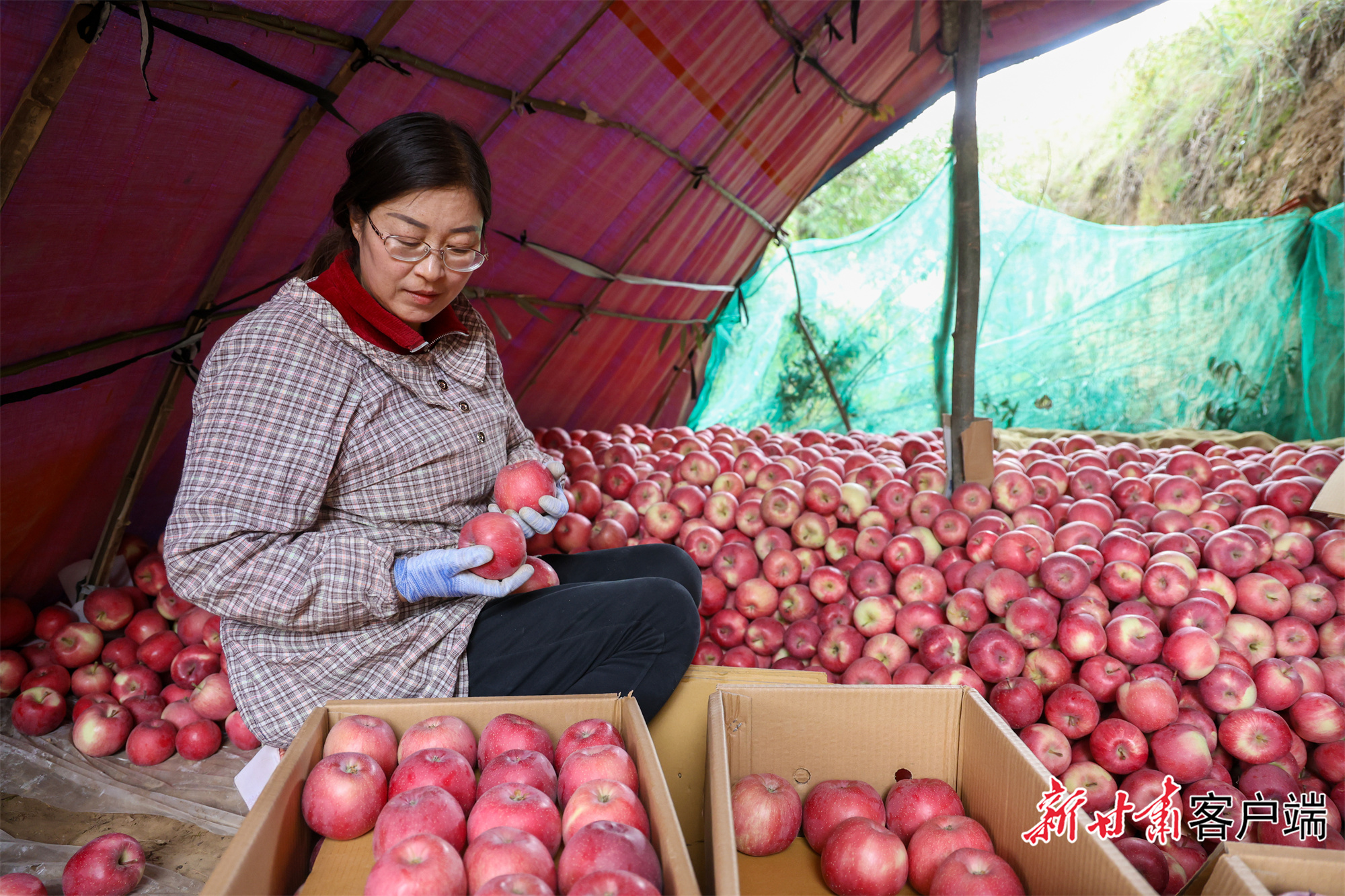 FZ007236301257_A4800032