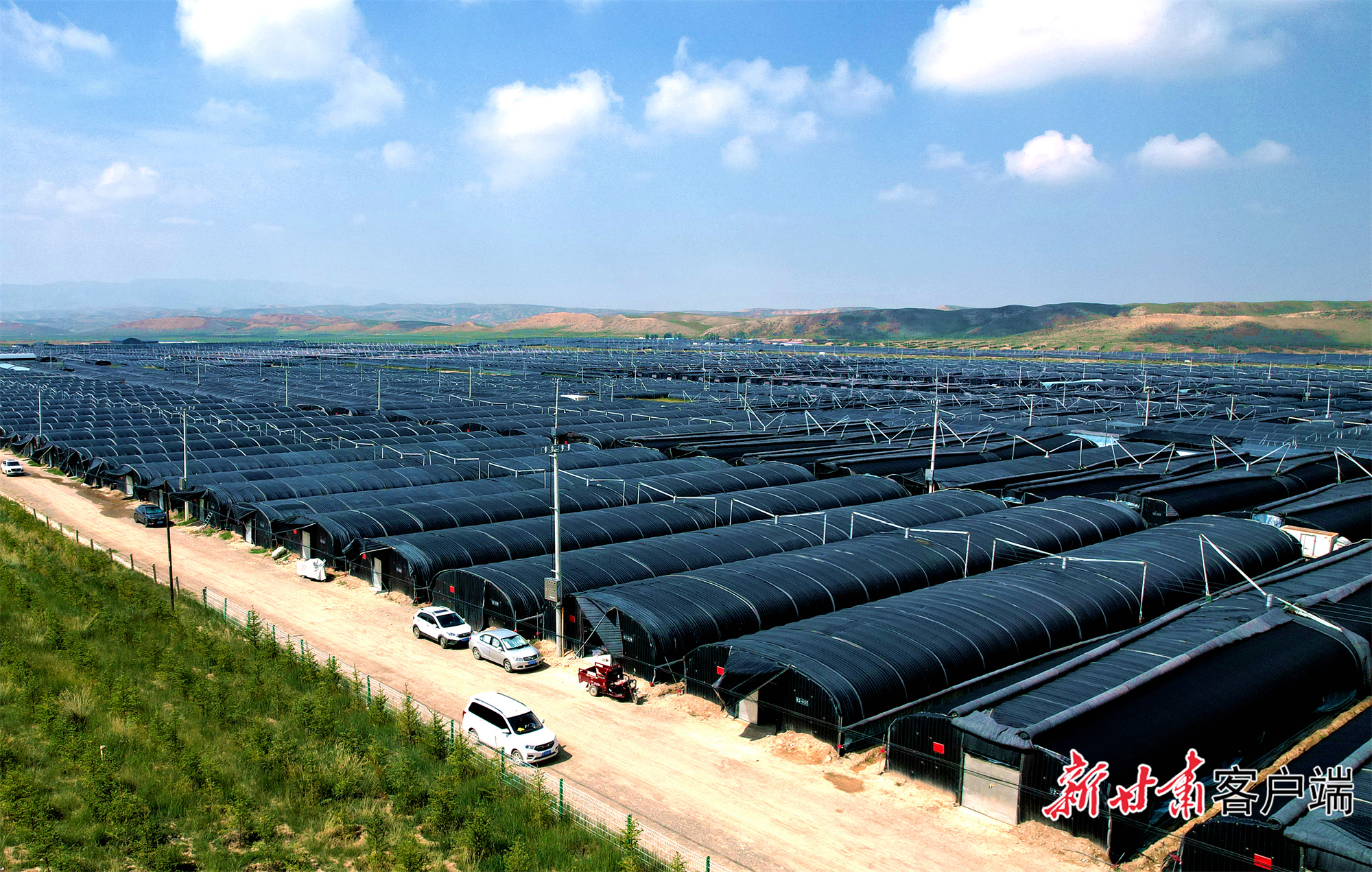 FZ007236301257_A4800031