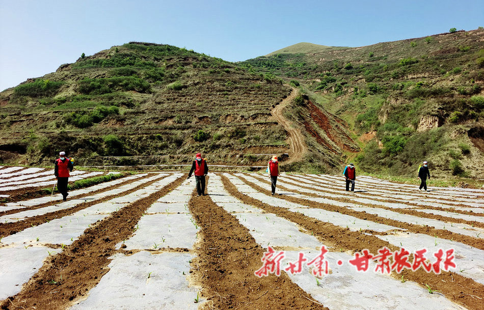 微信图片_20221209130436