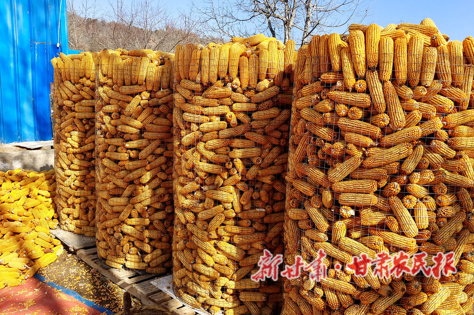 微信图片_20221209130427